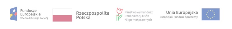 Realizacja projektu